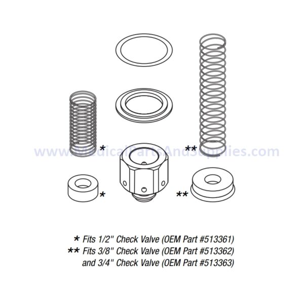 Check Valve Rebuild Kit for the Getinge/Castle® Sterilizer Series 100, Part CSK066 (OEM Part #513369)